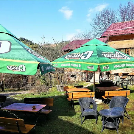 Guest house Leyla Castel Brasov
