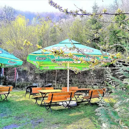 Guest house Leyla Castel 2*